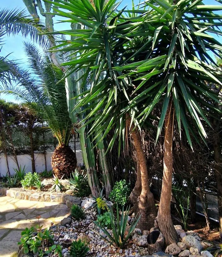 Casa Buganvilla L'Ametlla de Mar